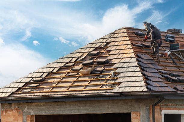 Roof Moss and Algae Removal in Fairfax, CA